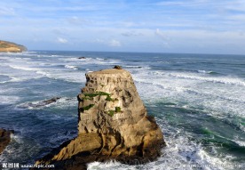 新西兰鸟岛风光