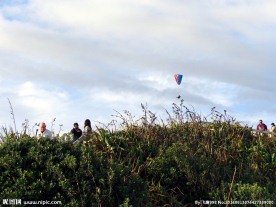 新西兰鸟岛风光
