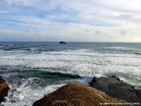 新西兰鸟岛风光