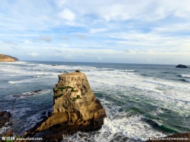 新西兰鸟岛风光