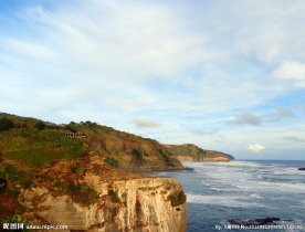 新西兰鸟岛风光