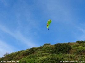新西兰鸟岛风光