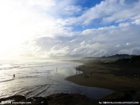 新西兰鸟岛风光