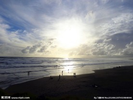 新西兰鸟岛风光