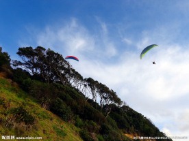 新西兰鸟岛风光