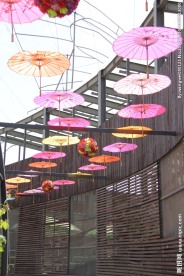 园博园    北京园博园