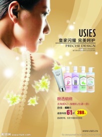 USIES传单
