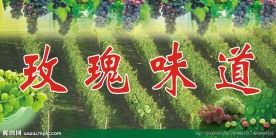 葡萄园