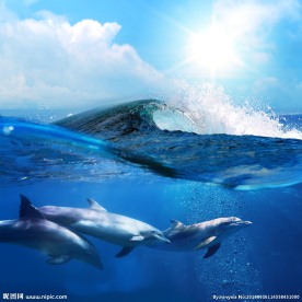 海浪