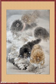 藏獒