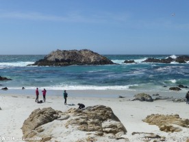 旧金山17英里黄金海岸