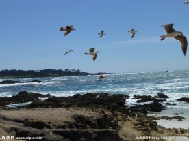 旧金山17英里黄金海岸