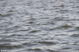 波浪