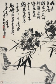 竹菊石图