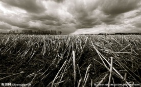 暴风雨田野