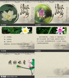 荷花PPT