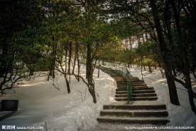 黄山风景
