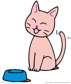 可爱猫咪