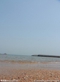 海边特写