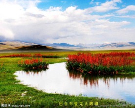 巴音布鲁克 天鹅湖