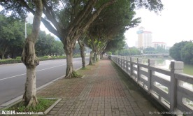 街景一角