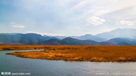 泸沽湖草海