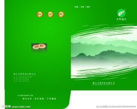 绿色画册封套