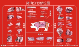 猪肉分割图