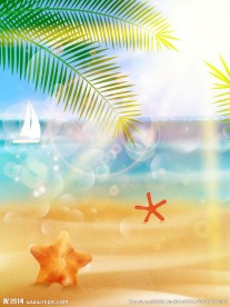 海星  海滩 海边旅游