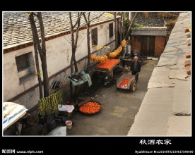 农家风景