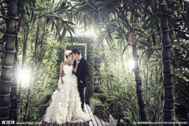 个性婚纱照 婚纱照