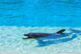 水族馆