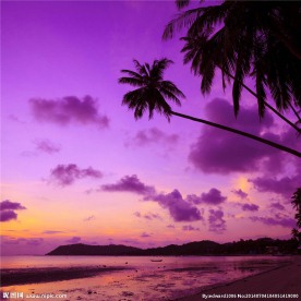 海边夕阳风光