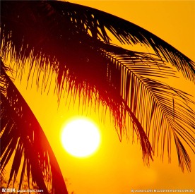 海边夕阳风光