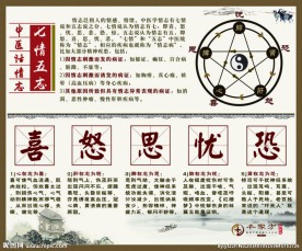 七情五志