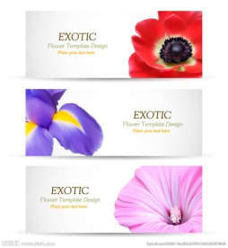 鲜花banner