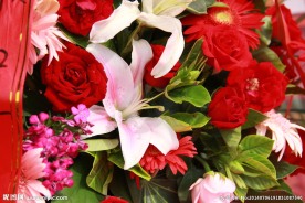 鲜花