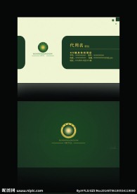 时尚简洁素雅绿色名片