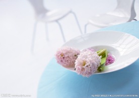 室内花朵摄影