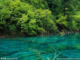 潭水风景