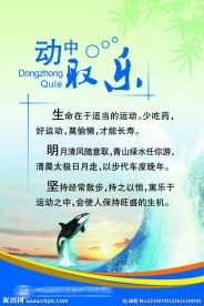 动中取乐