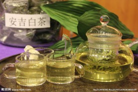安吉白茶