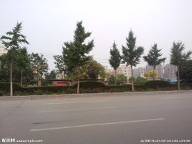 城市绿化