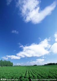 天空景观
