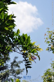 大理洱海公园的天空
