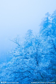 西岭雪山
