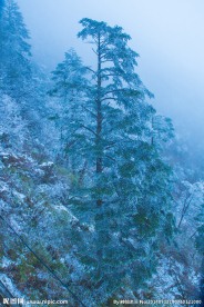 西岭雪山