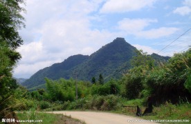 历史名村 翠竹洋