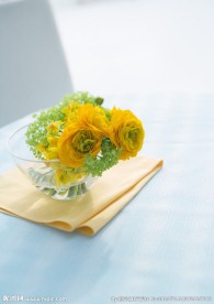 室内花朵摄影