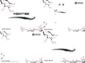 项目汇报